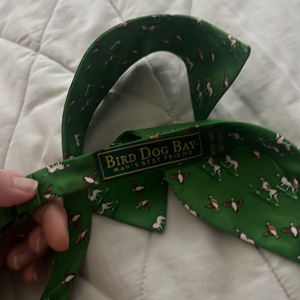 Bird Dog Bay Bow Tie - hunting dogs and pheasants - Picture 9 of 13